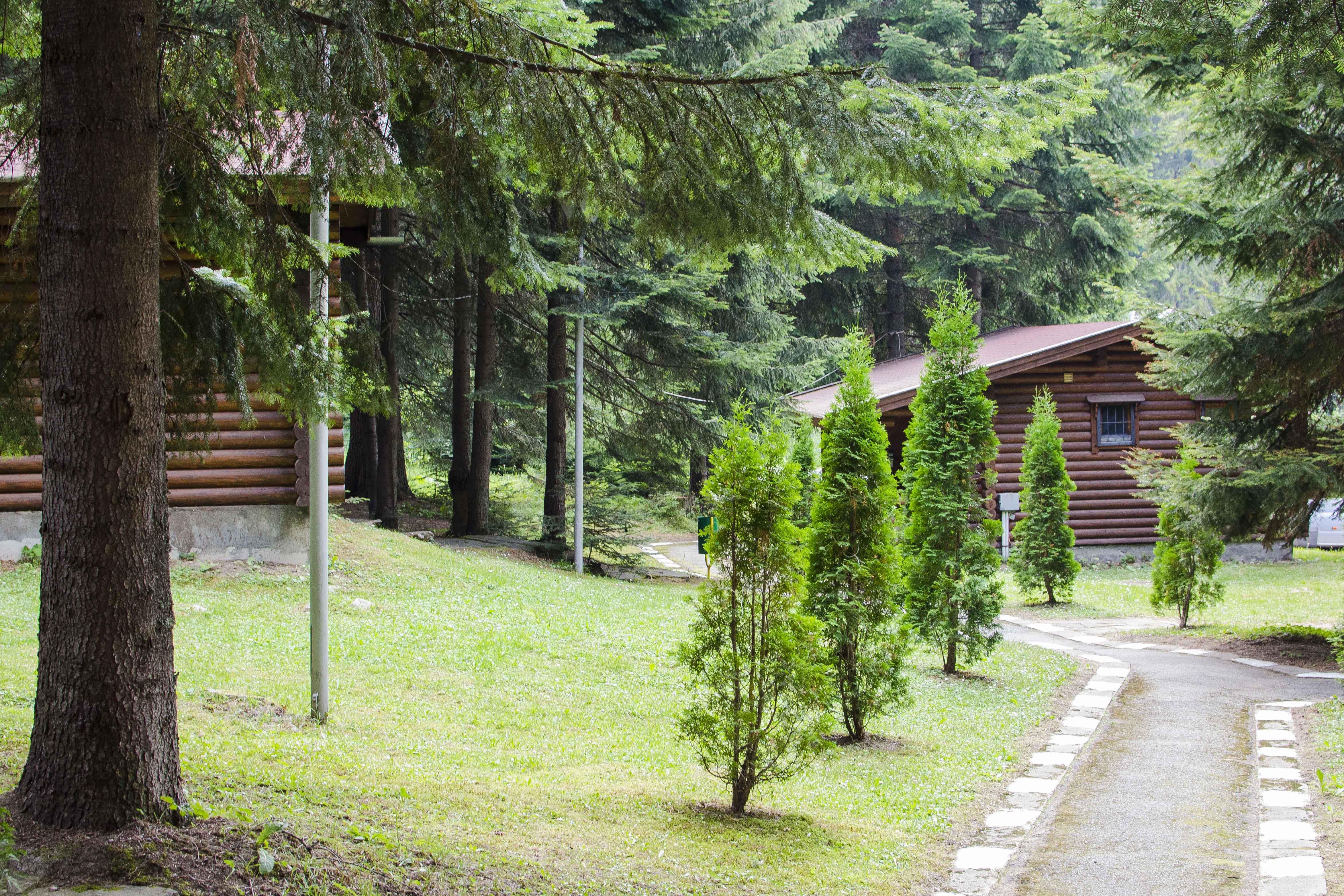 Villa Yagoda Μπόροβετς Εξωτερικό φωτογραφία